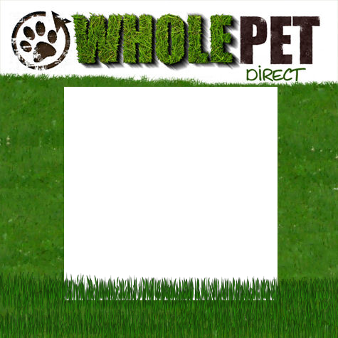 Follow on TWITTER @WholePetDirect !